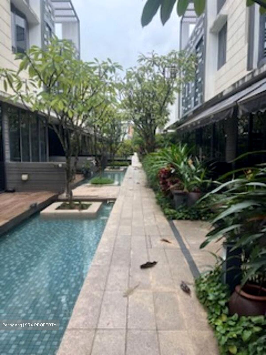 Alana (D28), Terrace #518406561